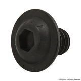 3390 - 1/4-20 x .375" Flanged Button Head Socket Cap Screw (FBHSCS)